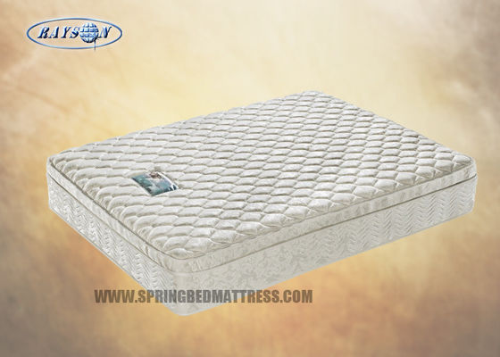 Sleep Science ที่นอนยางพาราธรรมชาติ 10 นิ้วรุ่น Anti-Bacterial Box Coil Euro Top Mattress